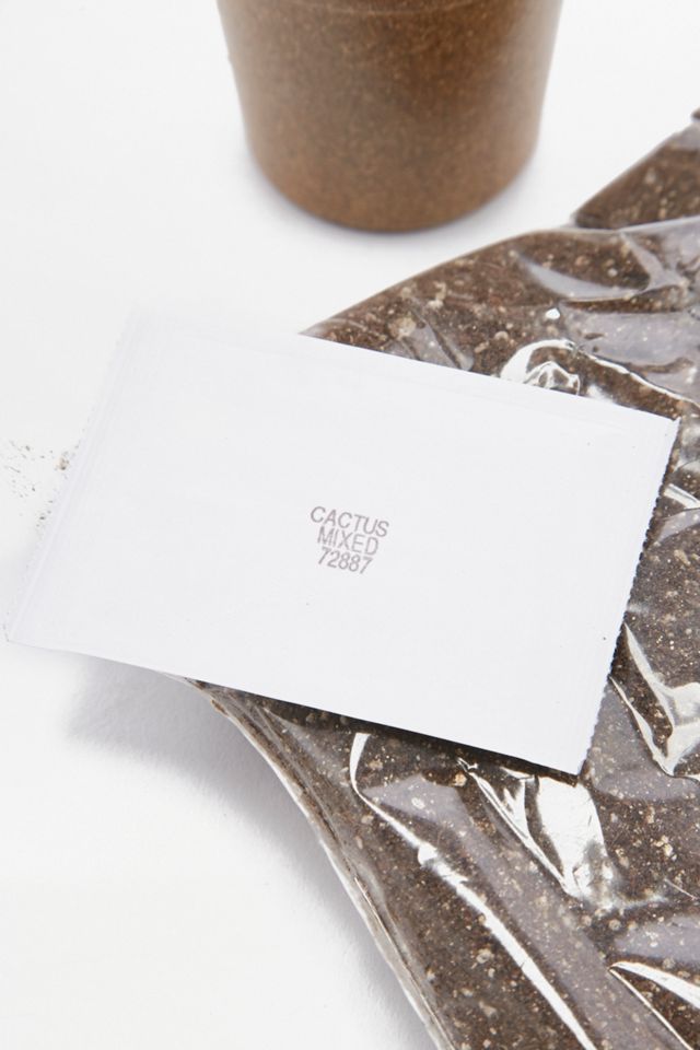 Seed Pantry Cactus Mix Easy Grow Kit #3